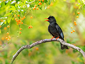 Sue Hsu's photo